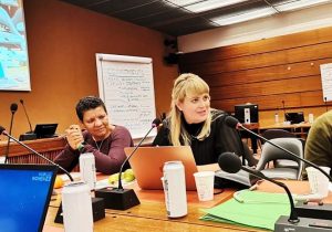 Kaksi naista kokoushuoneessa, joista oikeanpuoleinen on kirjoittaja Cecilia Pellosniemi.